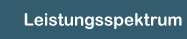 leistung